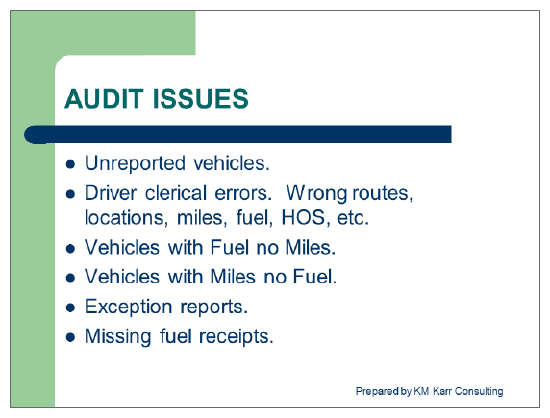 Audit Issues 1