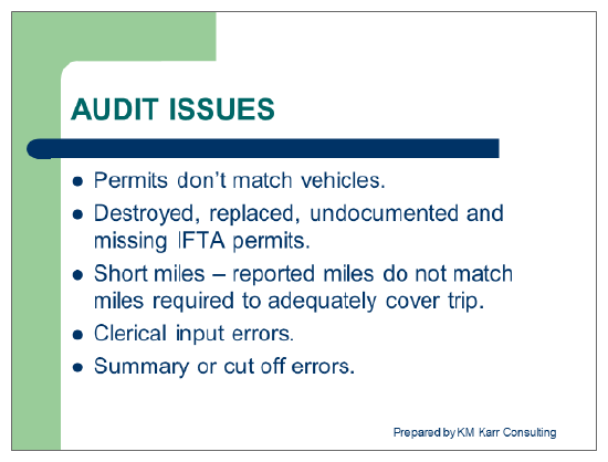 Audit Issues 2
